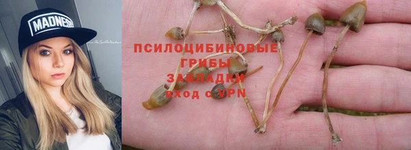 каннабис Арсеньев