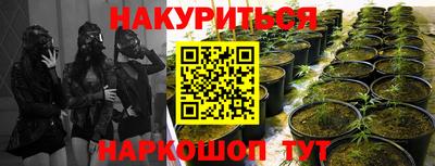 мяу мяу мука Свободный