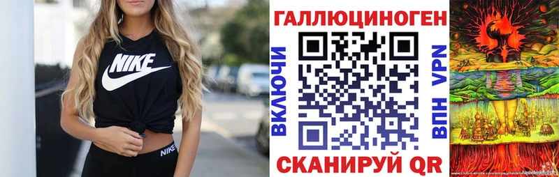 хочу   Электрогорск  Галлюциногенные грибы Cubensis 