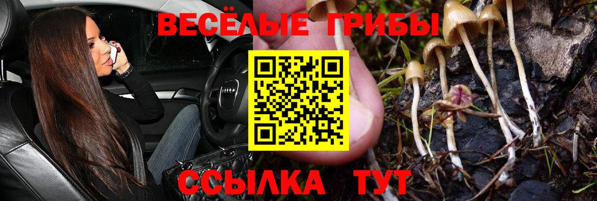 Галлюциногенные грибы Cubensis  Вход с VPN  Галлюциногенные грибы Psilocybe  Электрогорск 